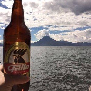 Meet your Posher, Jose